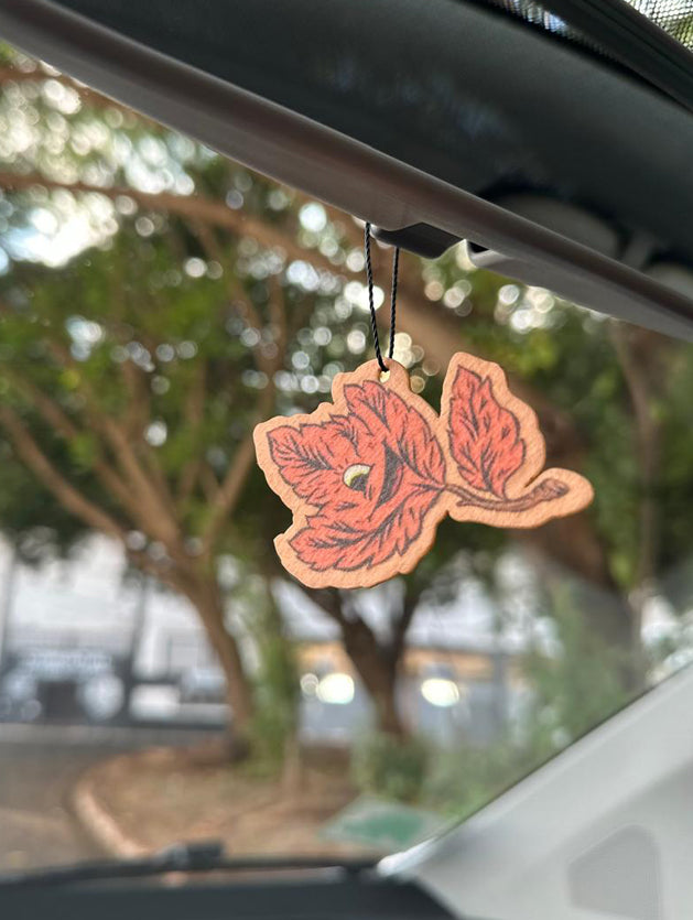 Aromatizador de Carro Pilar All Eyes